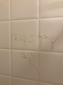 My wife leaves her hair on the shower wall so I decided to leave her a message the next time she takes one