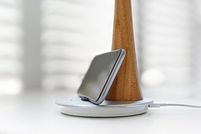 Ginkgo Solar Tree Charger_5