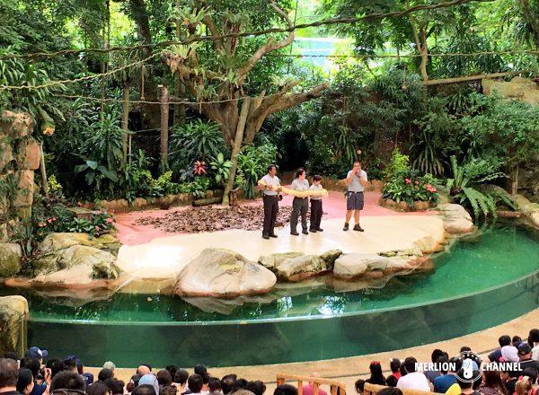 シンガポール動物園のアニマルショー