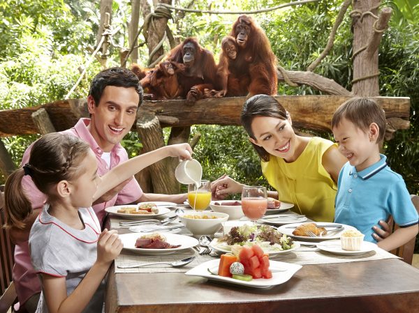 オラウータンと一緒に朝食を食べる「ジャングル・ブレックファスト」