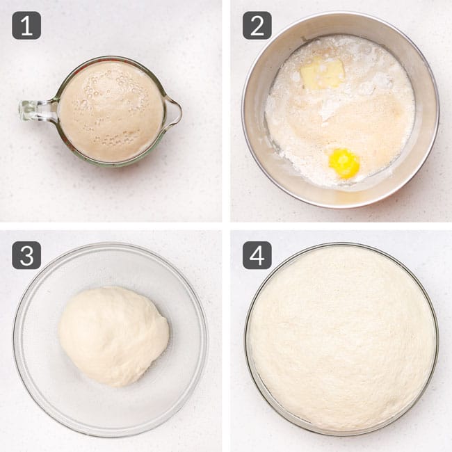 step photos for making homemade hamburger buns