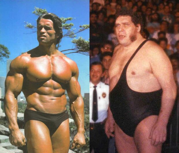 Arnold Schwarzenegger &Amp; André The Giant