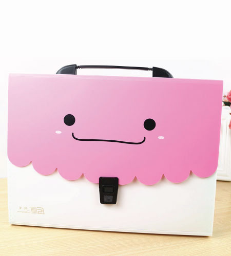 15+ Cute School Supplies for Kids: cute pink white folder