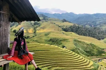 Mu Cang Chai Tour