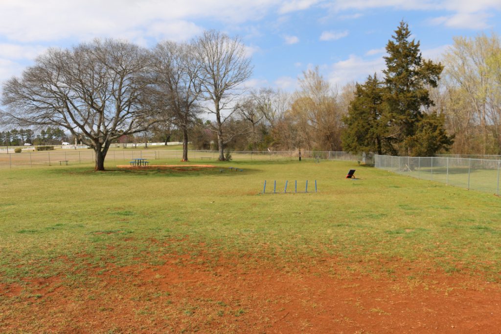 community dog park