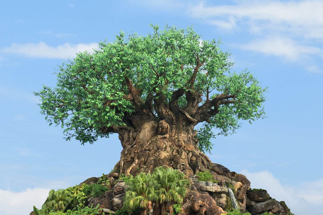 Download Tree of Life • Mickey Central