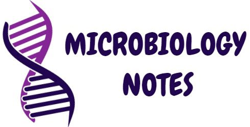 Microbiology Notes