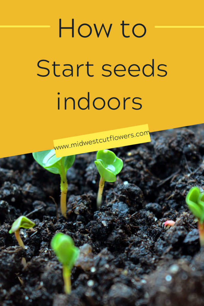 how to start seeds indoors - midwestcutflowers