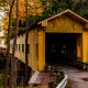 A yellow colored bridge on a road in the autumn foliage. Windsor Mills in one of the covered bridges in Ohio