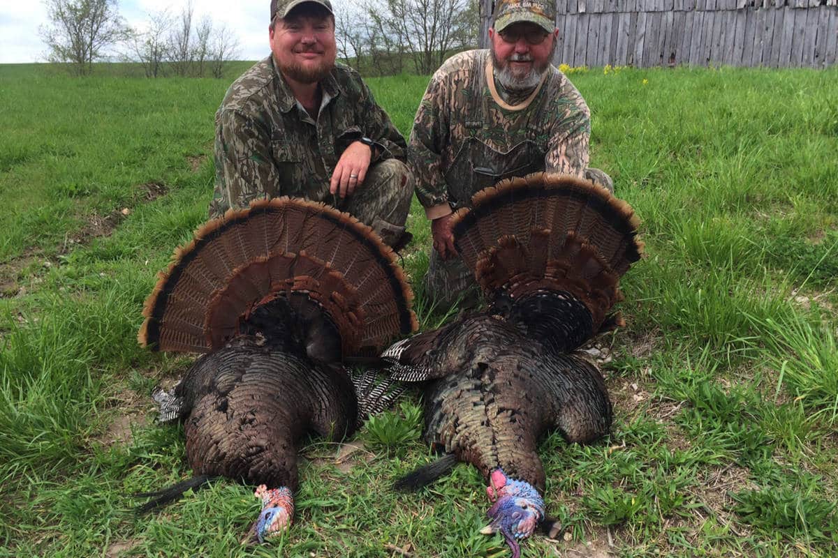 Looking for the Boss: Admire, or Take, the Dominant Gobbler - MidWest ...