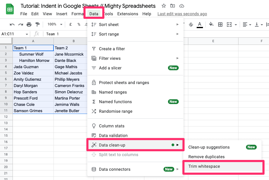 The screenshot shows how to access the "Trim whitespace" option from the Options Menu. You need to click on Data then on Data clean-up and click on 'trim whitespace'