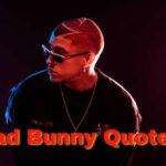 bad bunny quotes