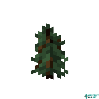 Spruce Sapling in Minecraft