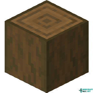 Stripped Log Minecraft