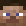 foxking909 minecraft avatar