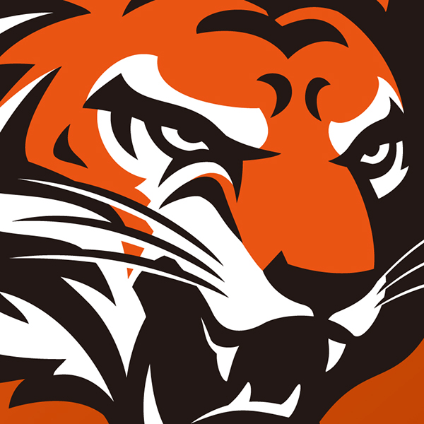 Cincinnati Bengals logo concept on Behance