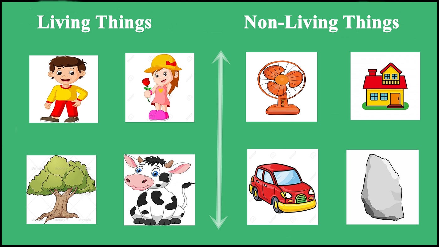 Living And Non Living Things Chart - vrogue.co