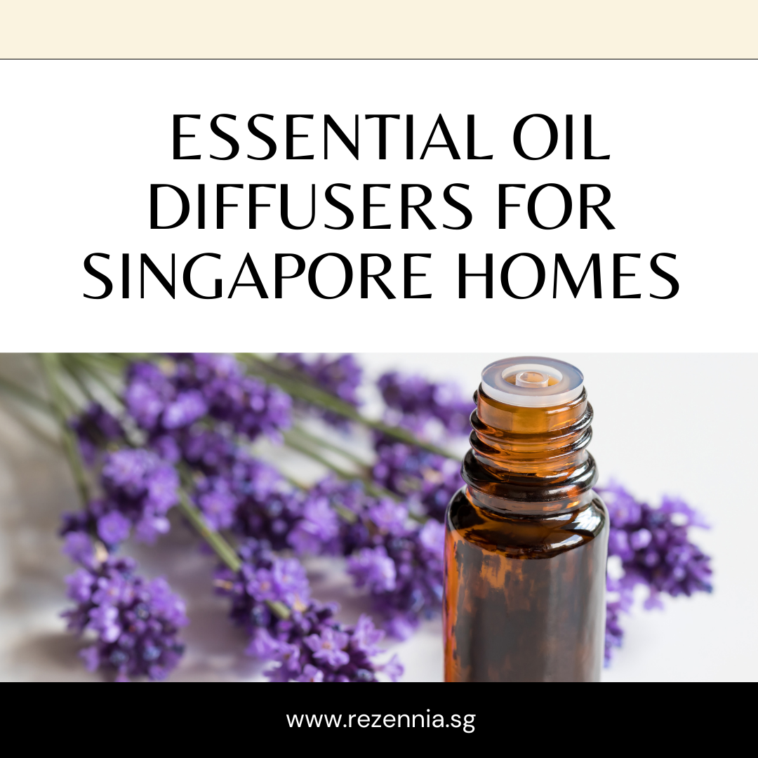 Rosemary Plant Singapore - Ivyhenry - Medium