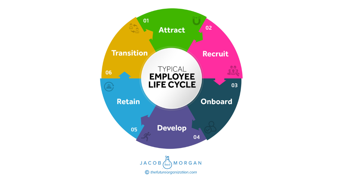 Typical Employee Life Cycle. For decades, companies have created… | by ...