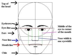 The Importance of Proportion in Art | by Myra Naito | Medium