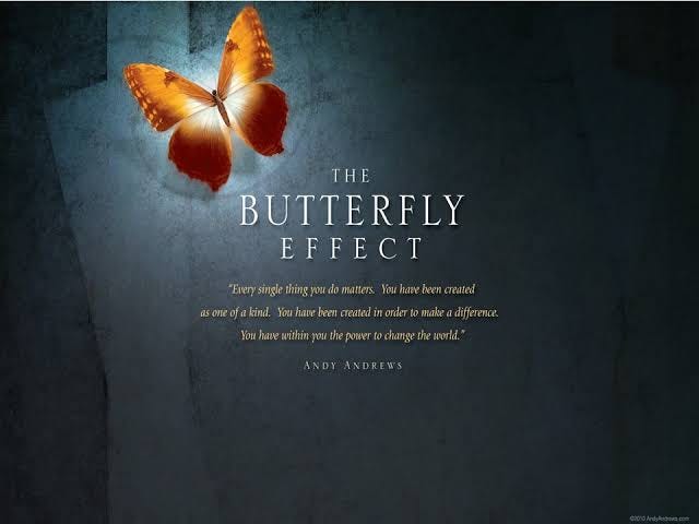 Butterfly effect: small changes big gains. | by Healerista | Medium