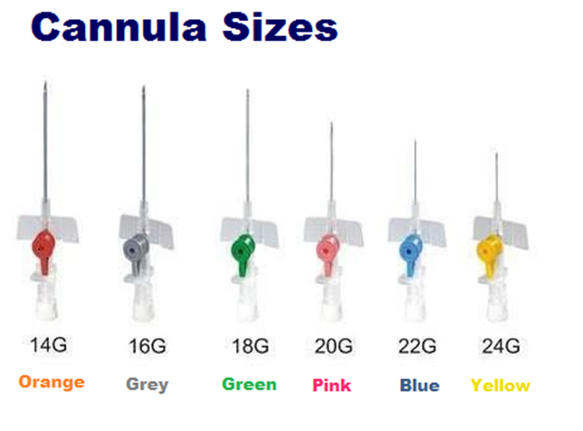 IV CATHETER GAUGE NEEDLE (ABBOCATH) | by Lumen Scientiae | Medium