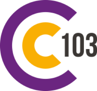 C103