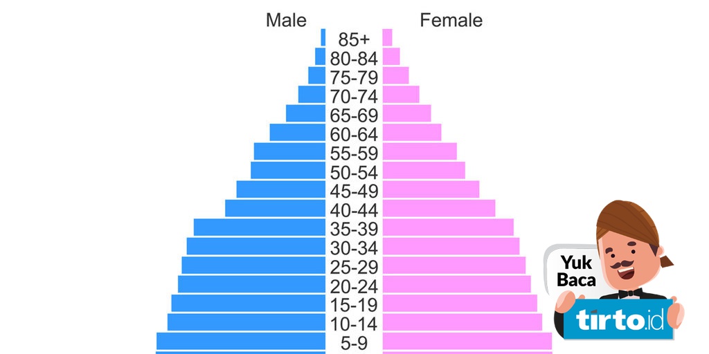 Apa Saja Jenis Piramida Penduduk dan Contohnya?
