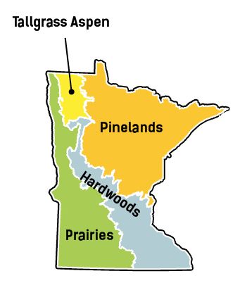 MN Grown map