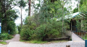 Amenities and lake access at Lake McKenzie