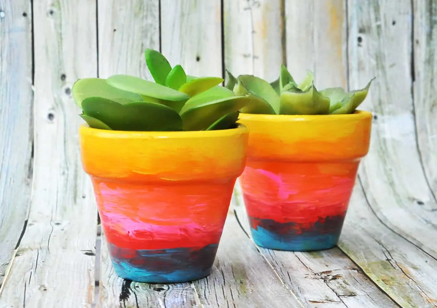 rainbow ombre painted flower pots