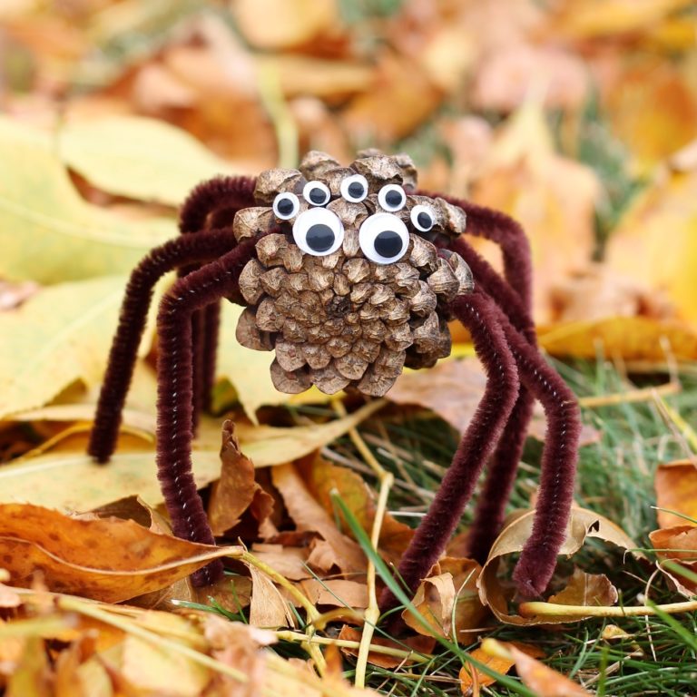 Make Pine Cone Spiders