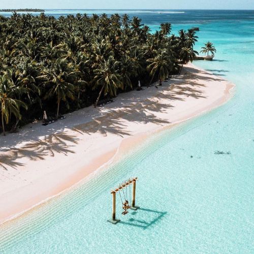 Tropical beach with clear blue water, white sand, and palm trees.