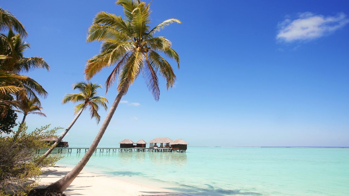 Tropical beach with palm trees and overwater bungalows under a clear blue sky.