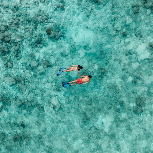 Two people snorkeling in clear blue shallow waters over a coral reef.