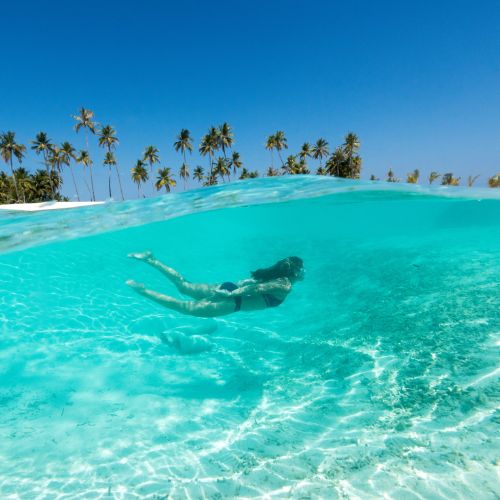 Person snorkeling in clear blue water near tropical palm trees.