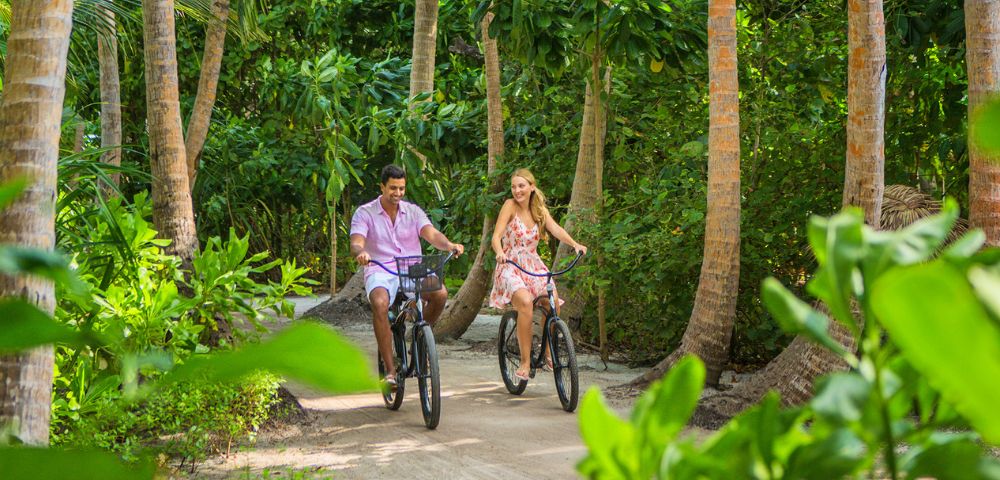 Two people cycling on a path surrounded by lush greenery and palm trees.