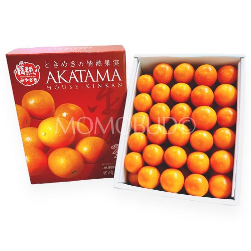 Japanese Miyazaki Akatama House Kinkan Gift Box 1kg