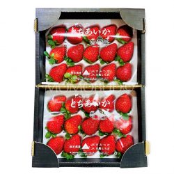 Jumbo Tochigi Tochiaika Strawberry 450gx2