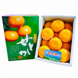 Japanese Setoka Mikan (Mandarin Orange) Gift Box (2.5kg)