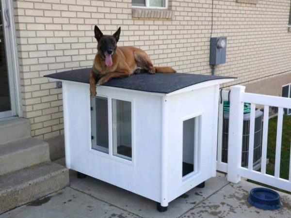 dog house plans