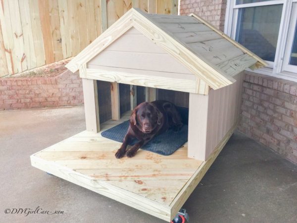 dog house plans