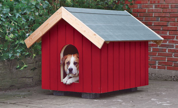 dog house plans