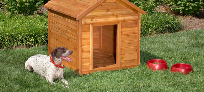 dog house plans