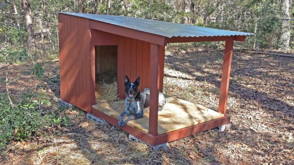 dog house plans