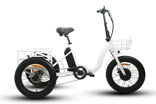 fat tire electric trike