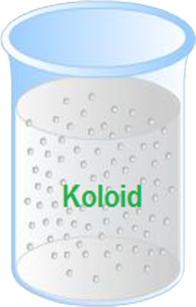 Koloid