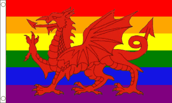 Rainbow Welsh Dragon Flag  (Medium)