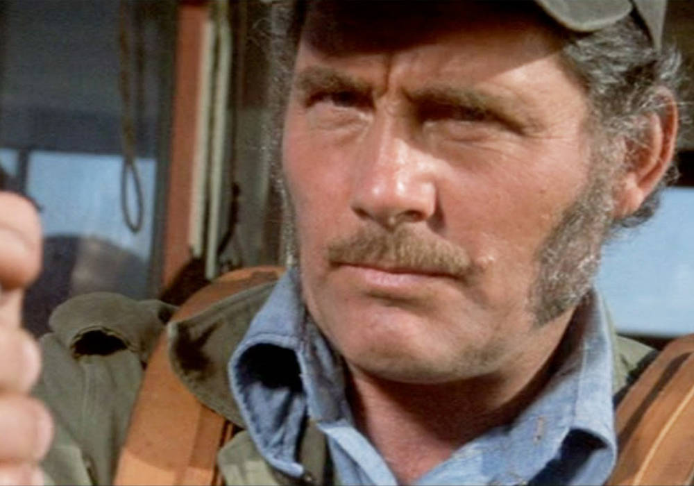 Robert Shaw Sunbeam Wallpaper