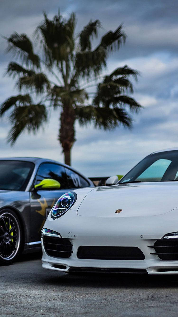 Sports Car And Palm Tree Wallpaper